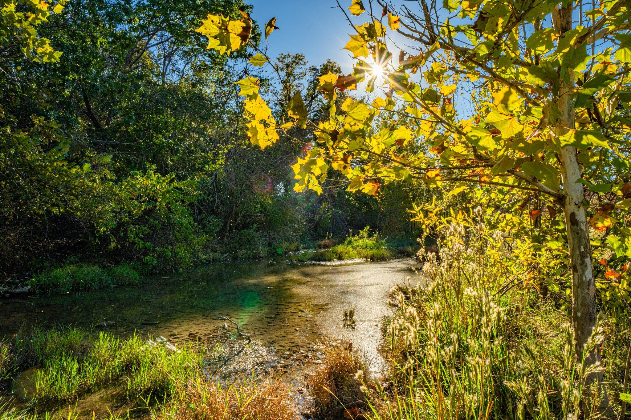 TBD FM-2843, Salado, TX 76571