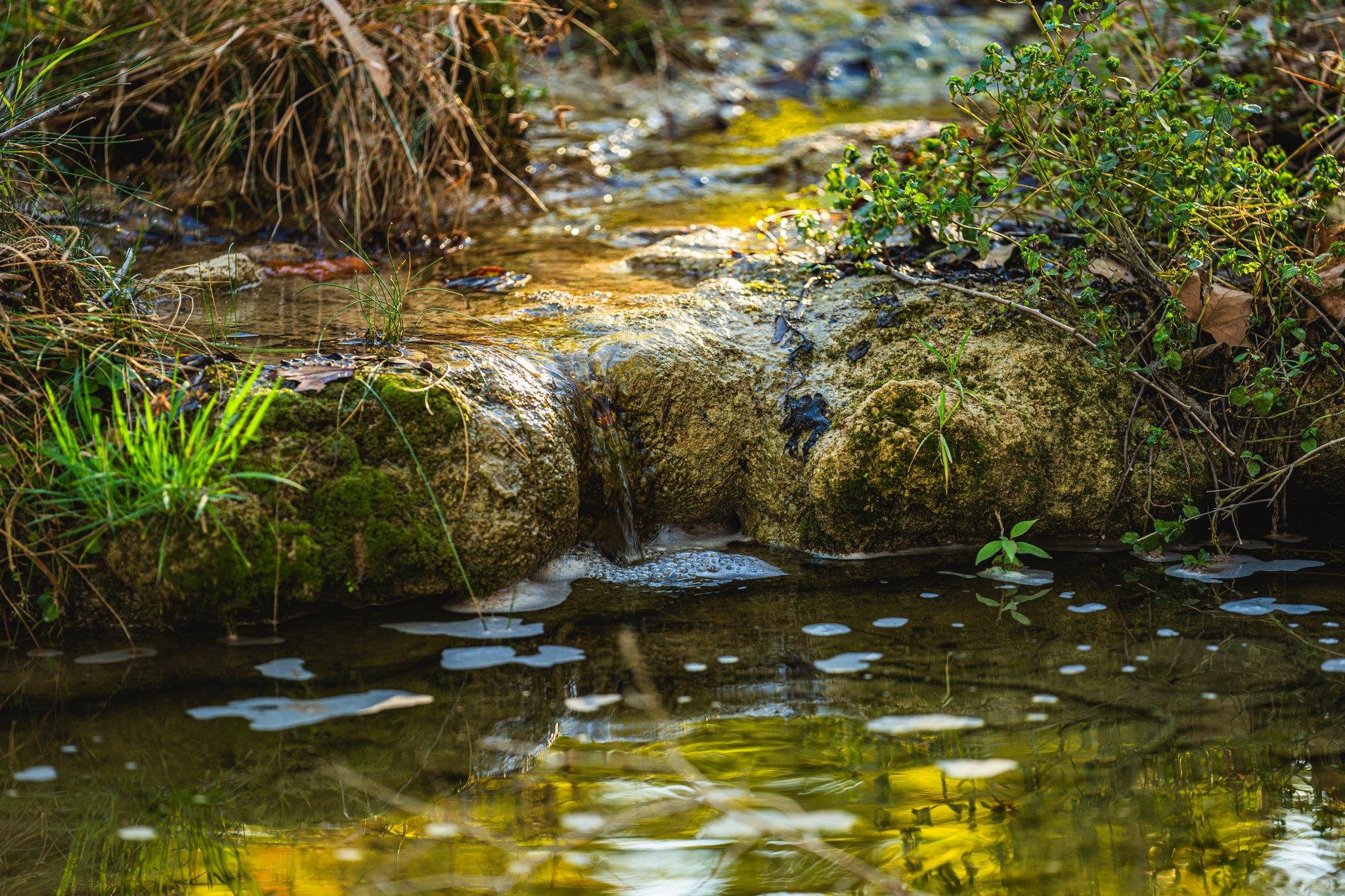 TBD FM-2843, Salado, TX 76571