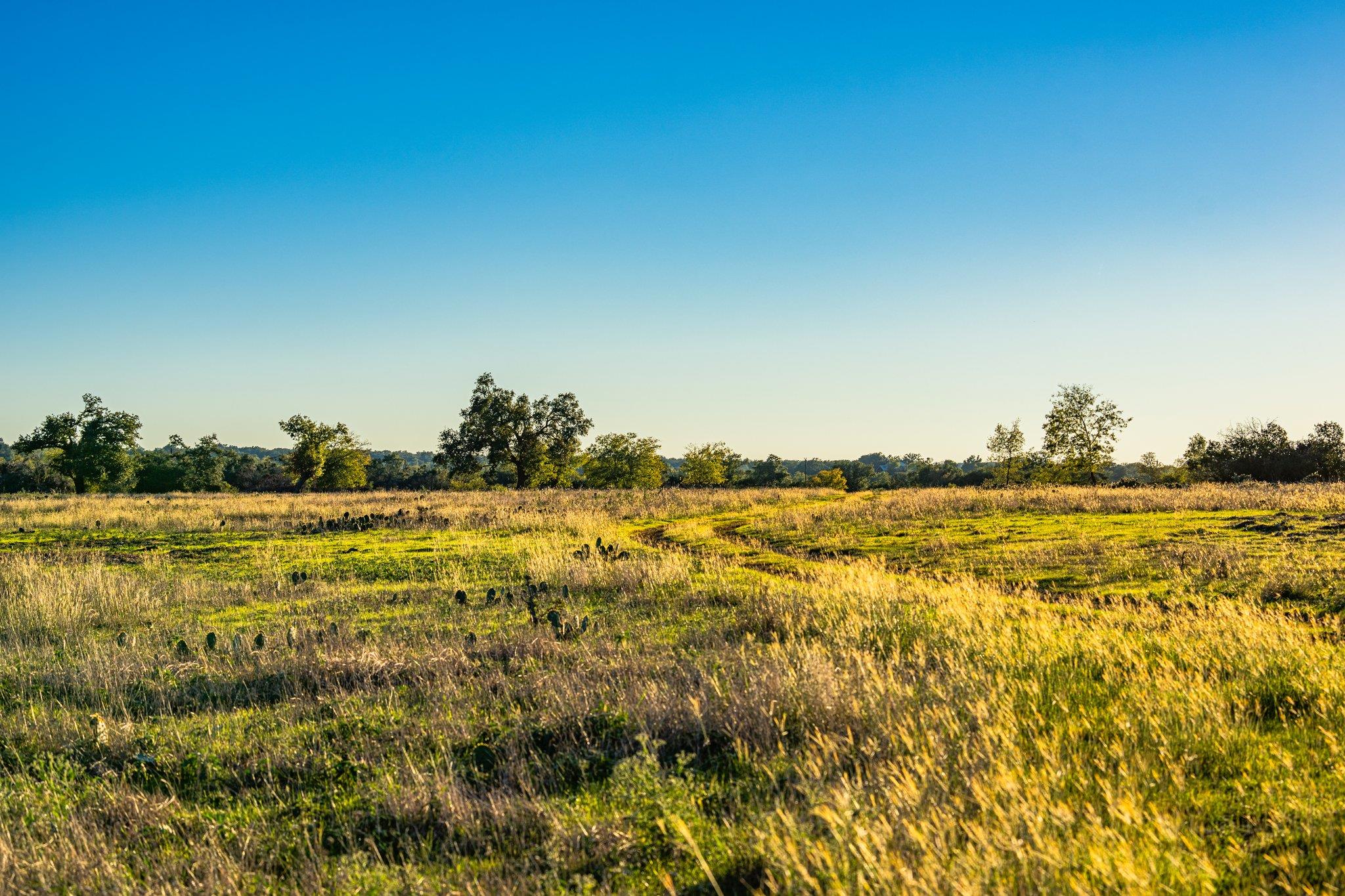 TBD FM-2843, Salado, TX 76571