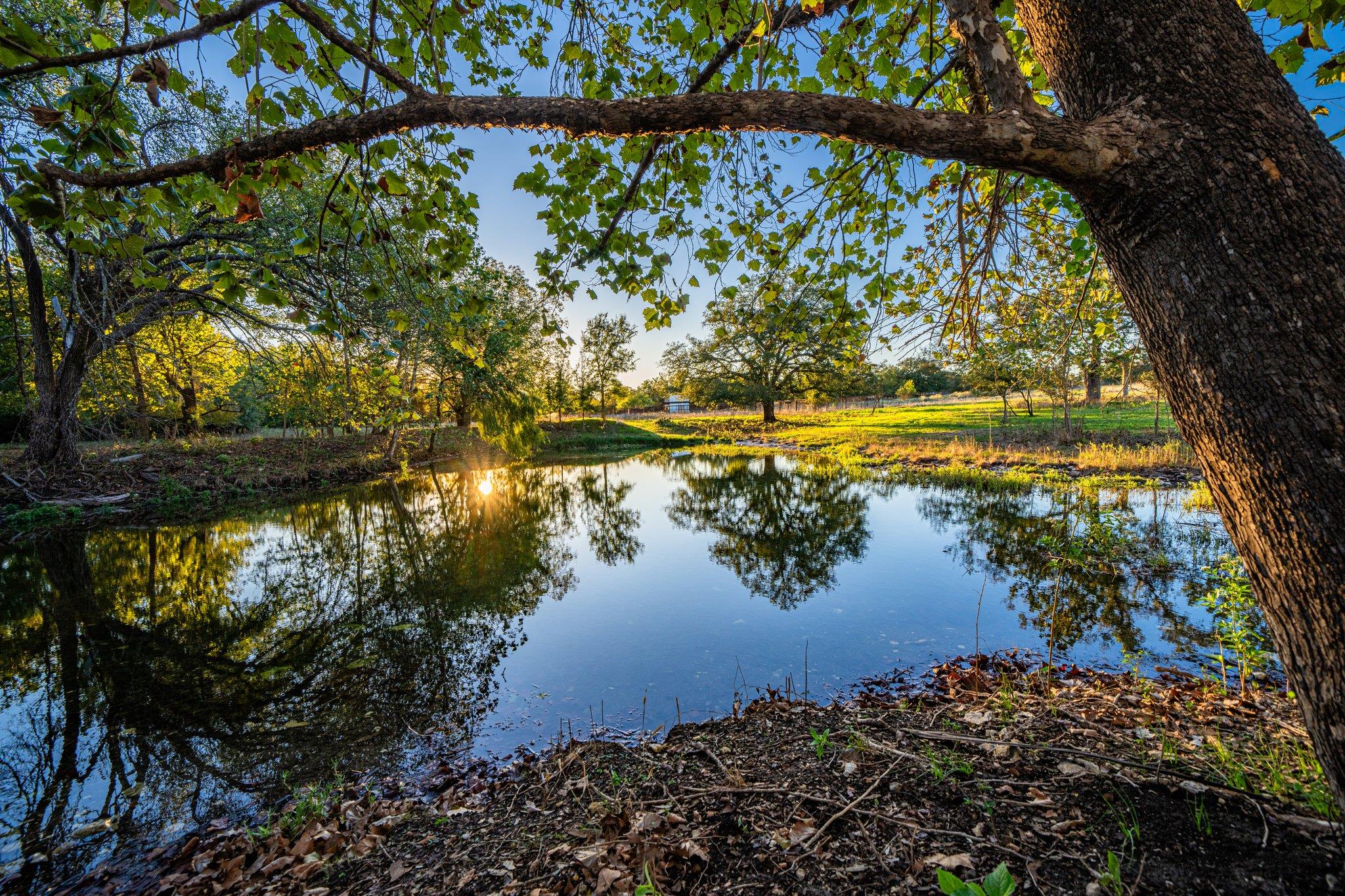 TBD FM-2843, Salado, TX 76571