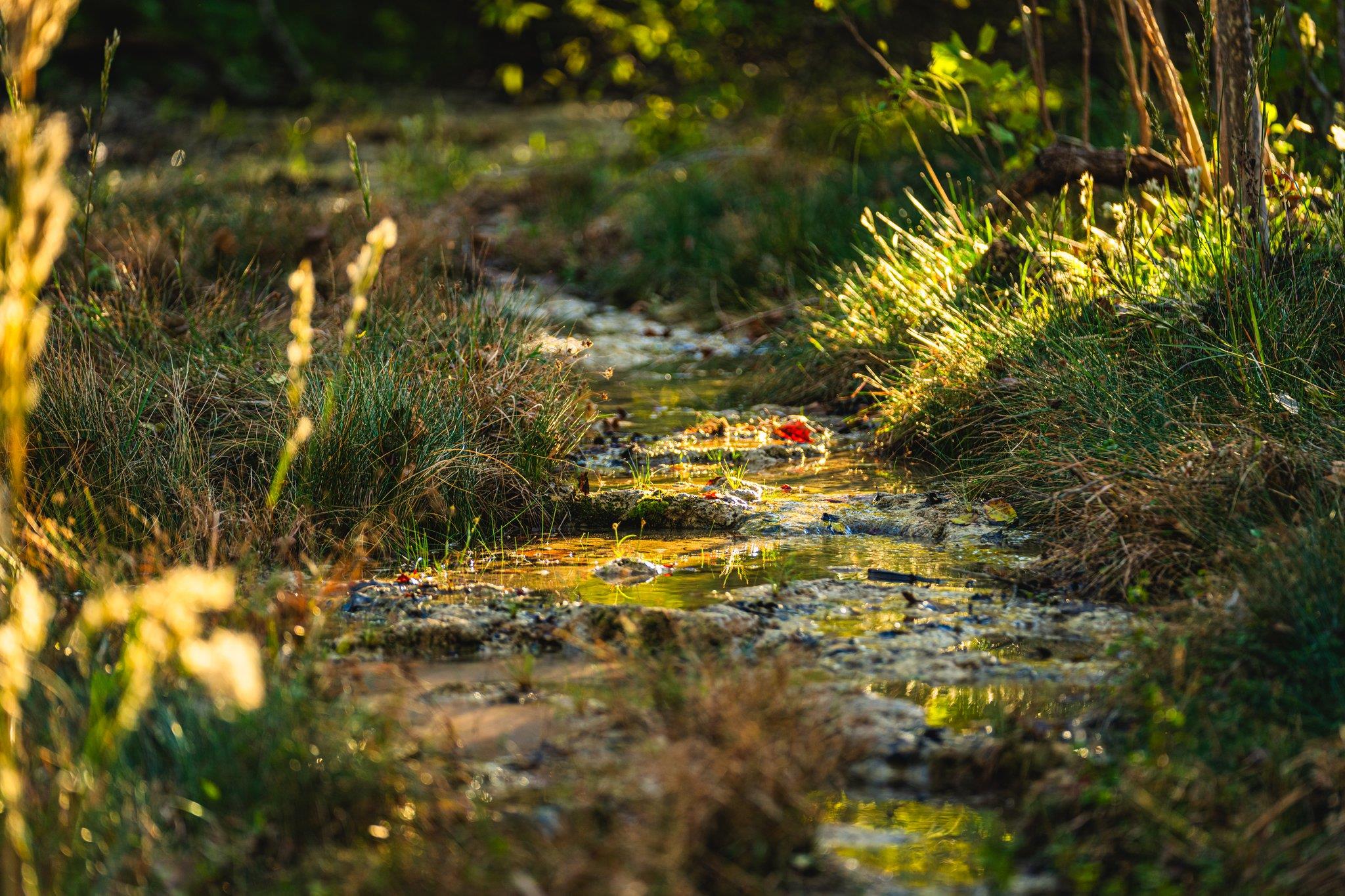 TBD FM-2843, Salado, TX 76571