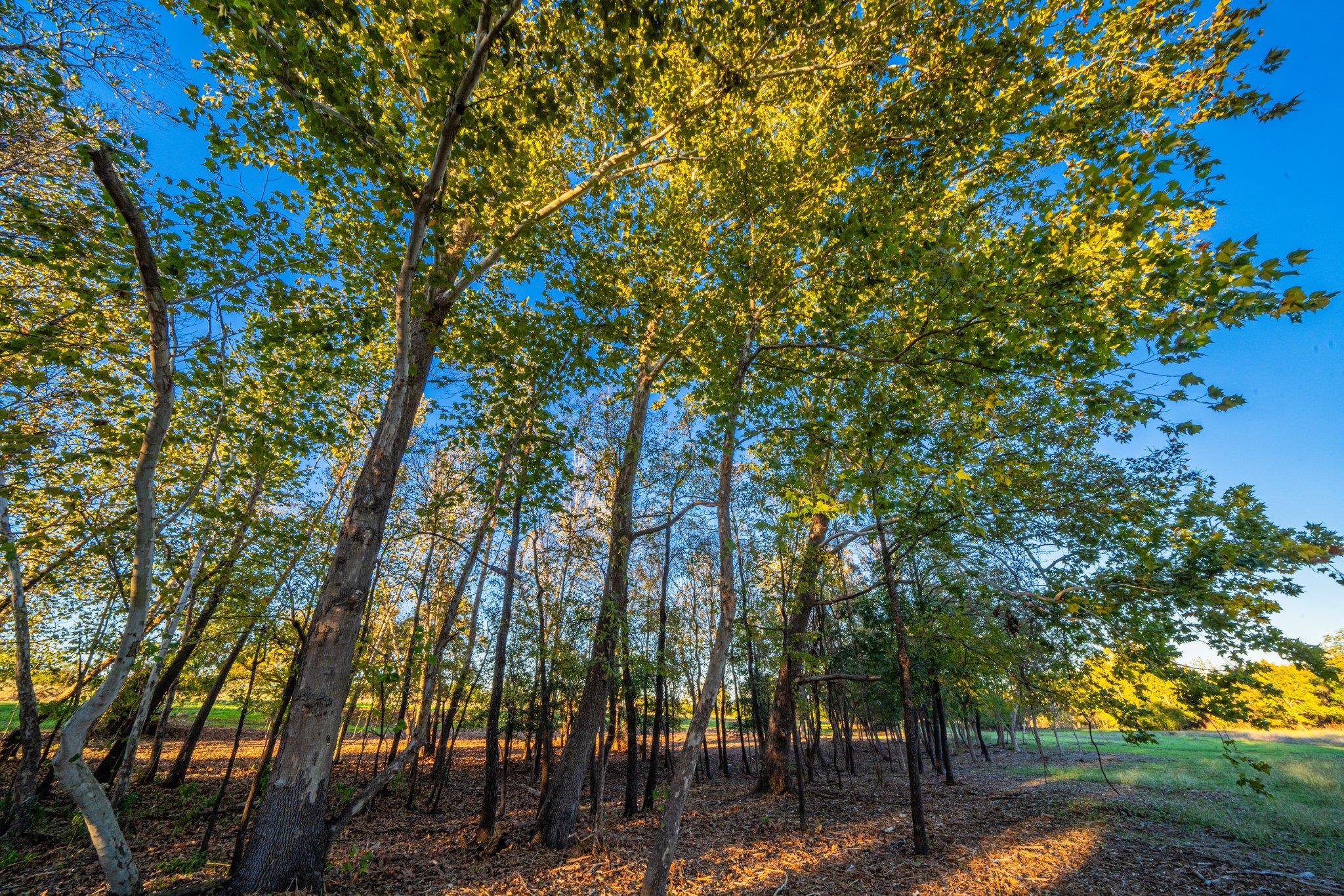 TBD FM-2843, Salado, TX 76571