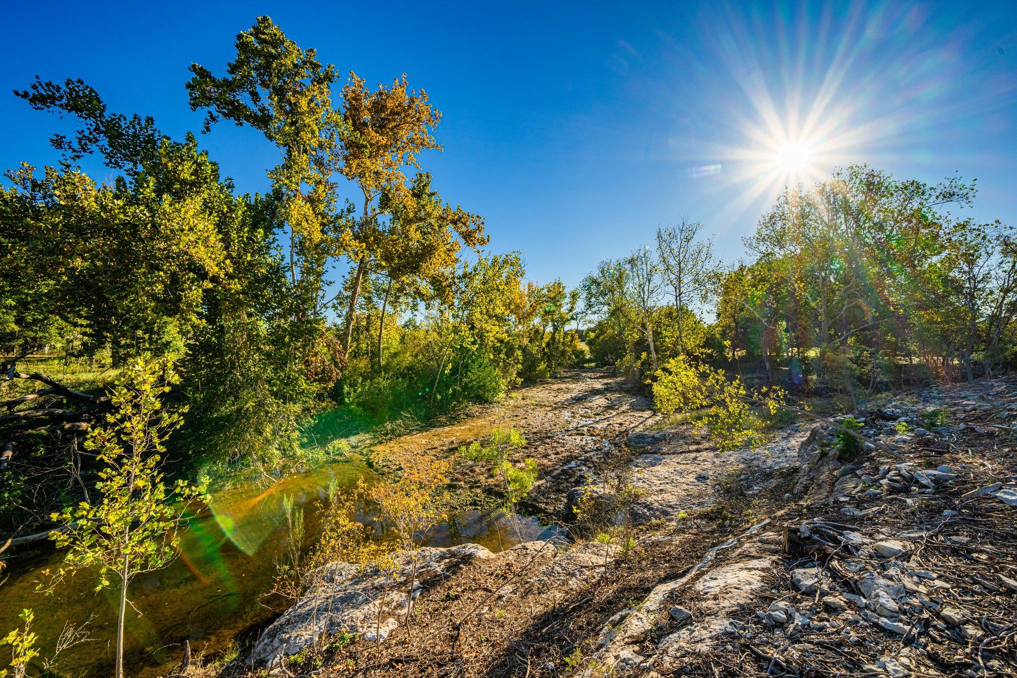 TBD FM-2843, Salado, TX 76571