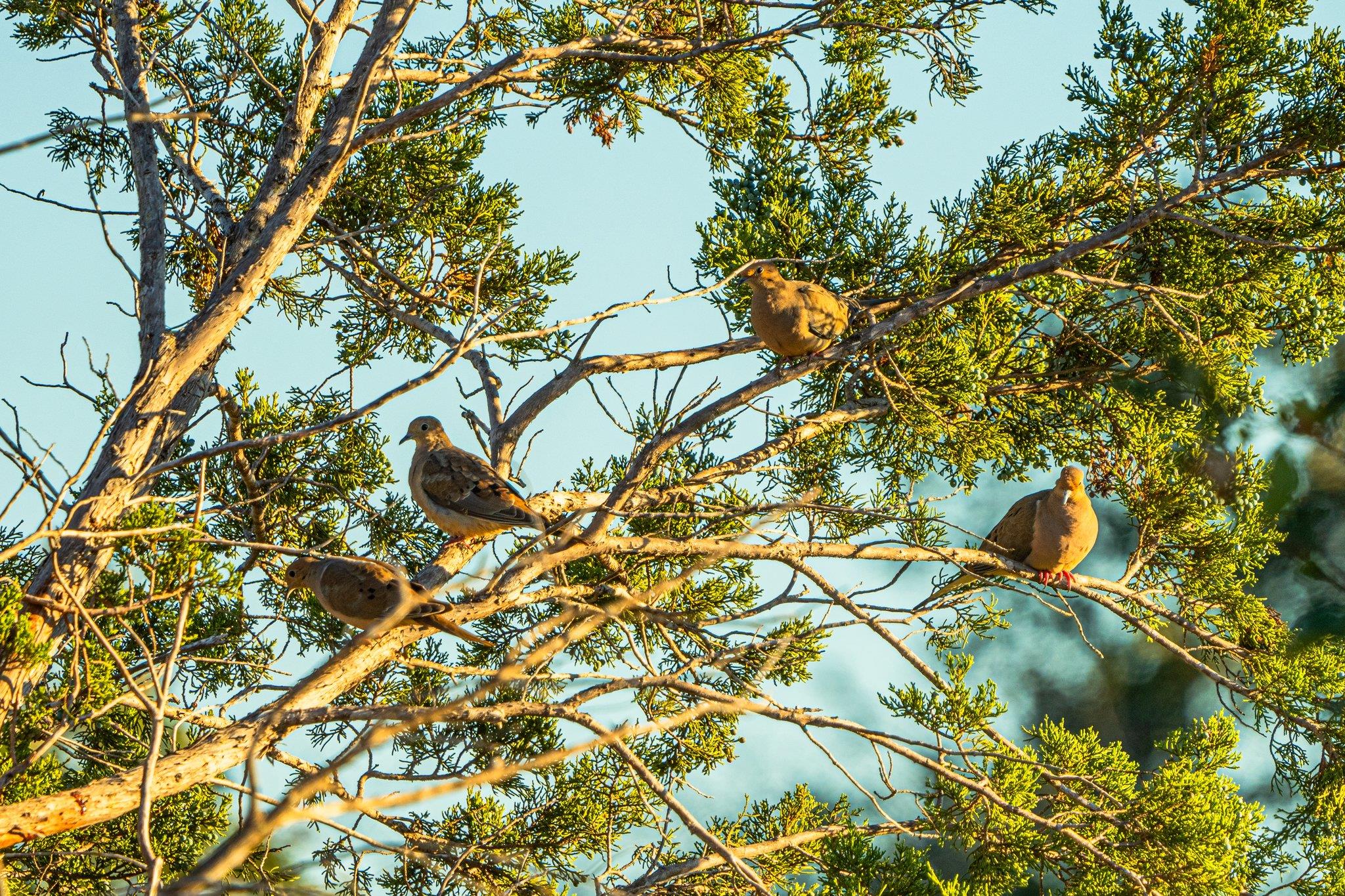 TBD FM-2843, Salado, TX 76571