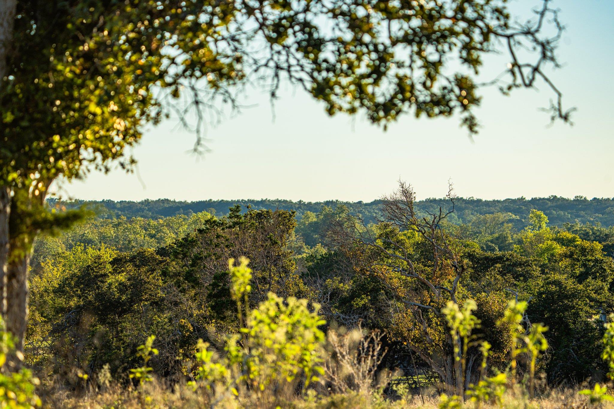 TBD FM-2843, Salado, TX 76571