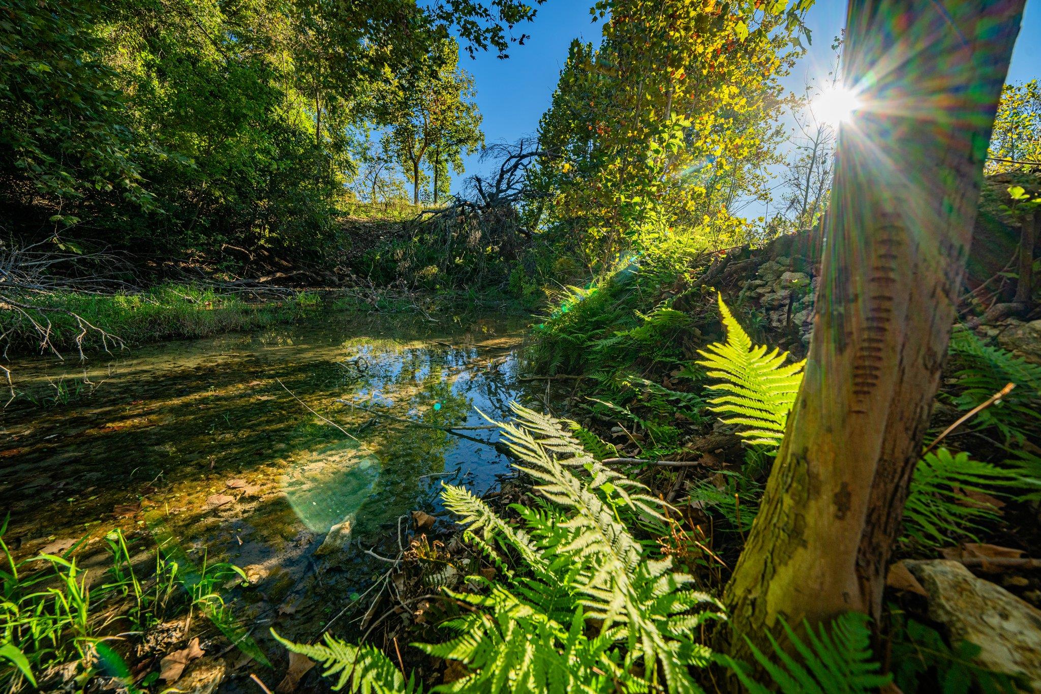 TBD FM-2843, Salado, TX 76571