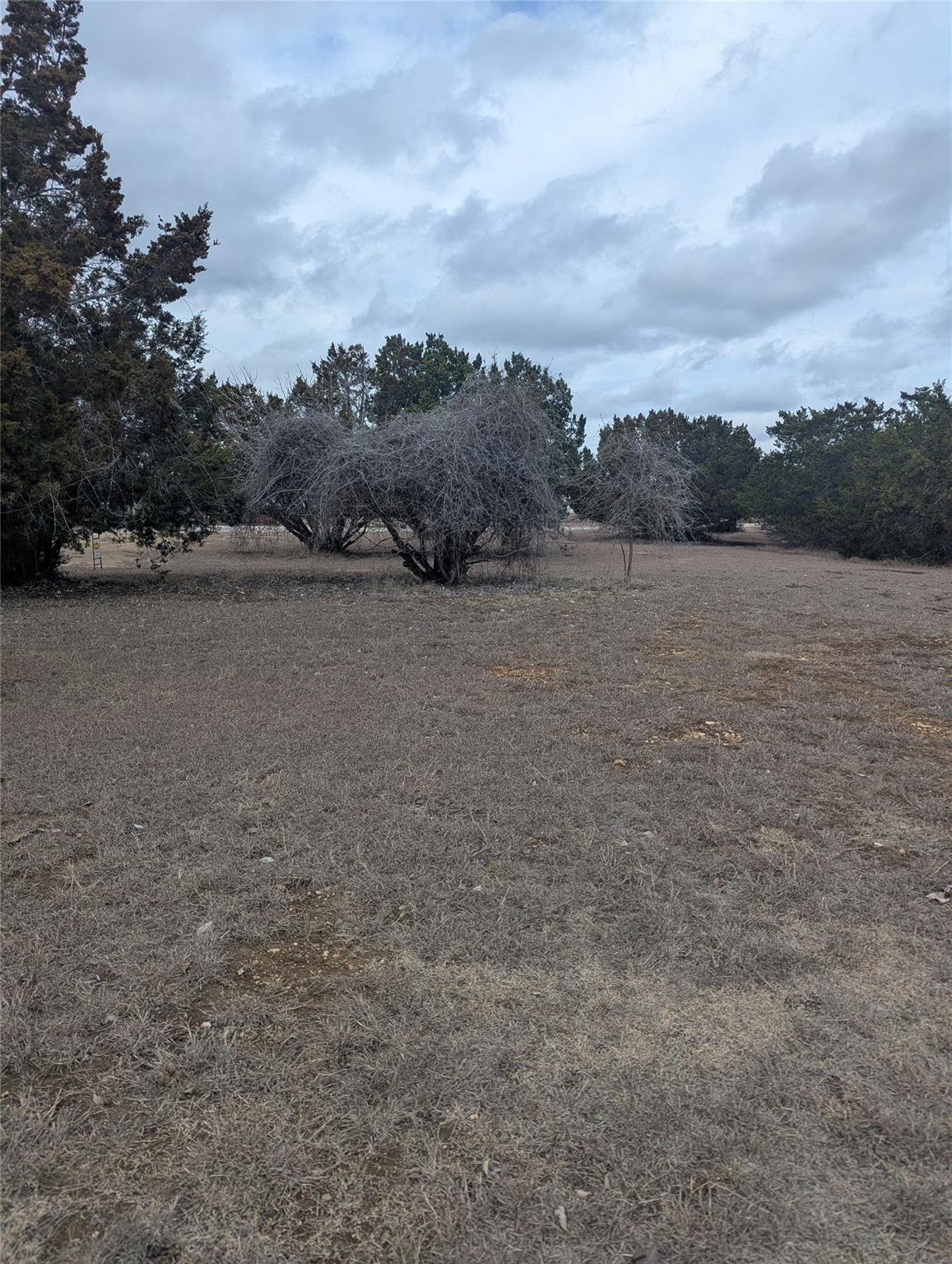 111 Rose Dr, Dripping Springs, TX 78620