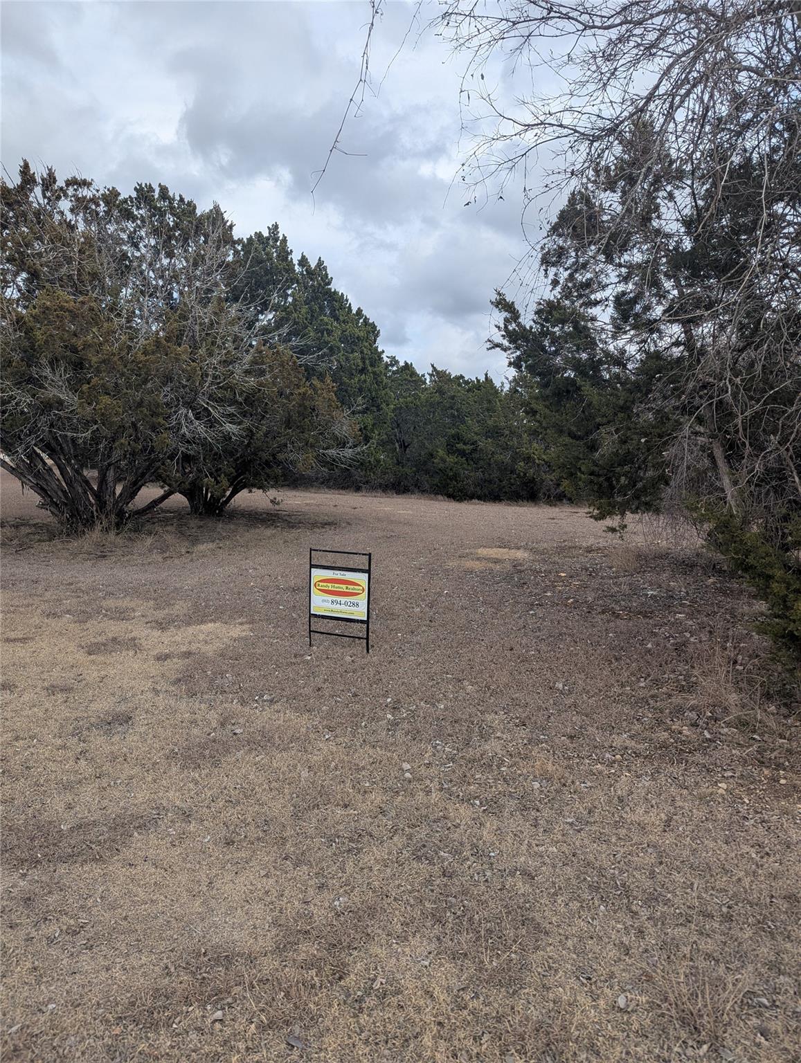 111 Rose Dr, Dripping Springs, TX 78620