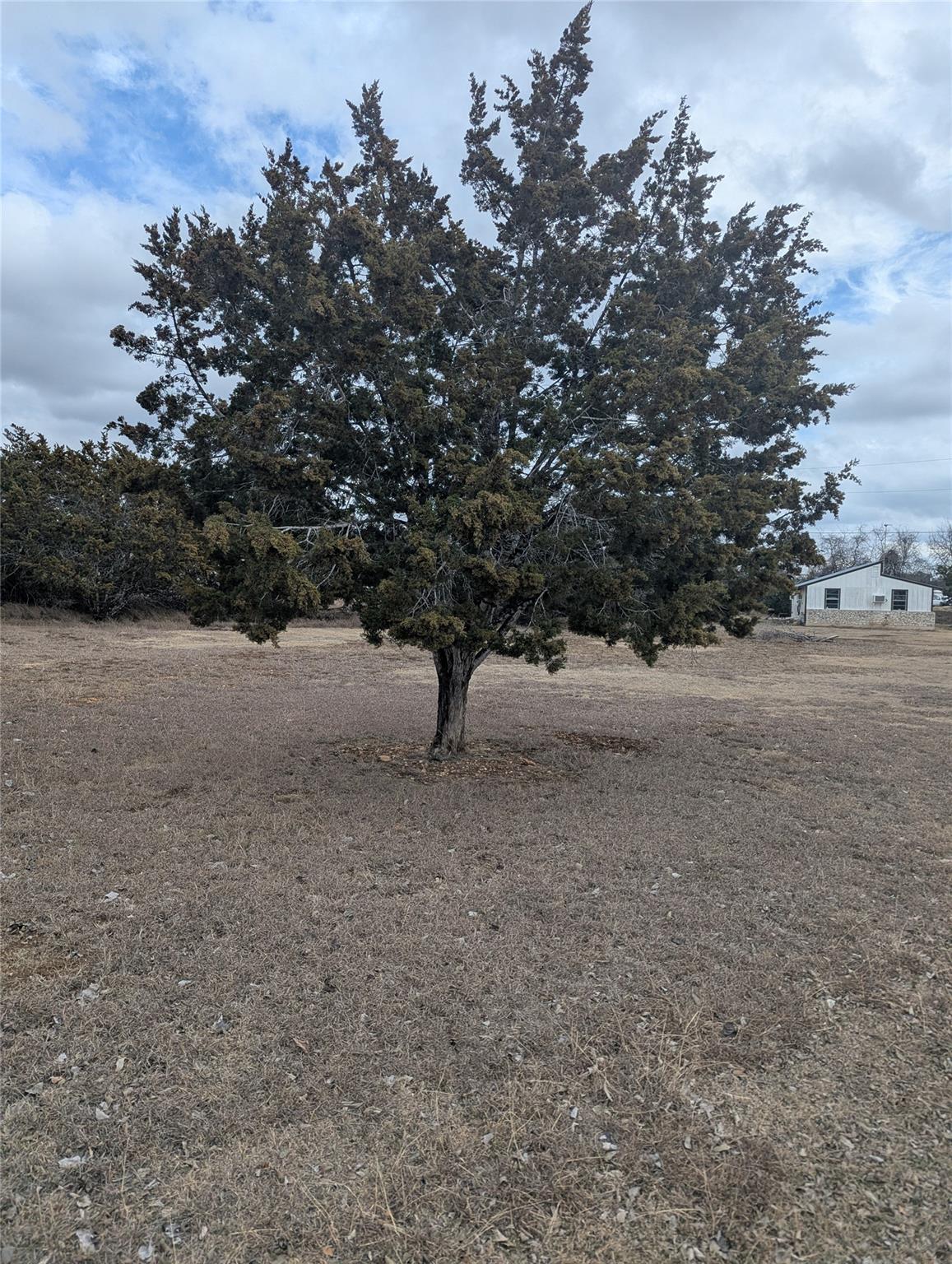 111 Rose Dr, Dripping Springs, TX 78620