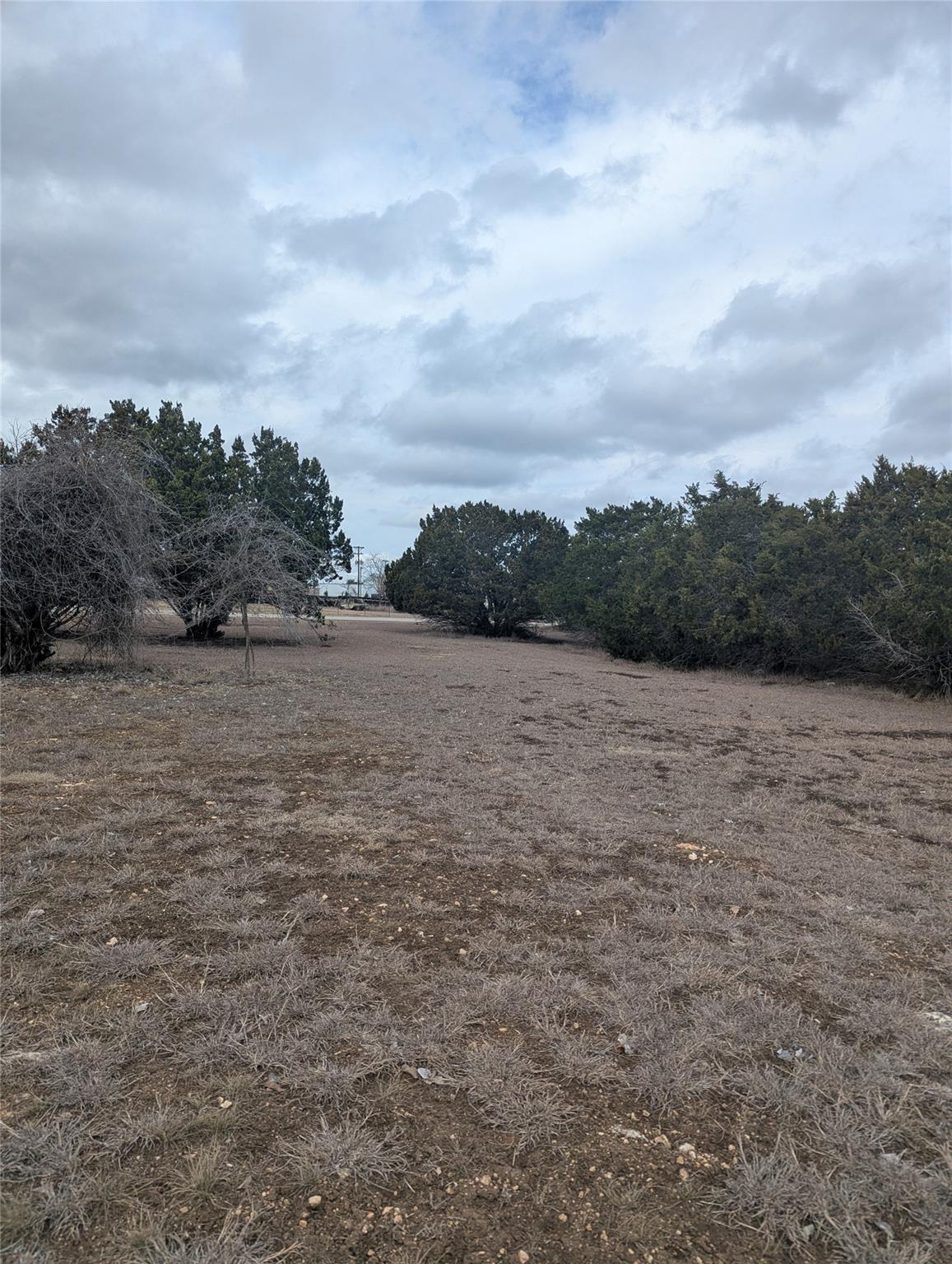 111 Rose Dr, Dripping Springs, TX 78620