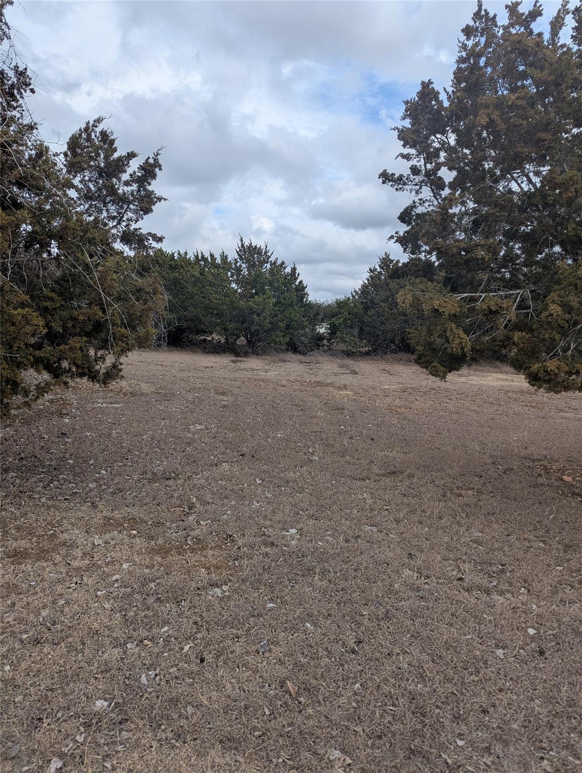 111 Rose Dr, Dripping Springs, TX 78620