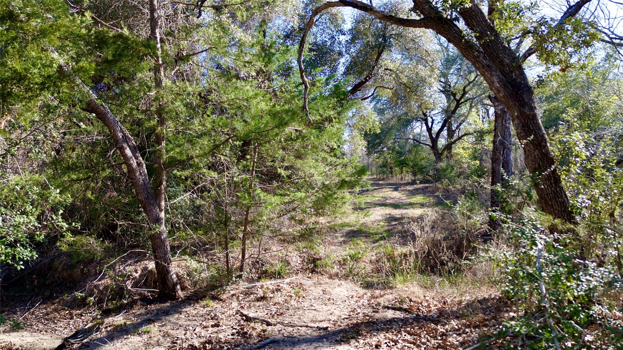 440 Boulton Creek Rd, Muldoon, TX 78949