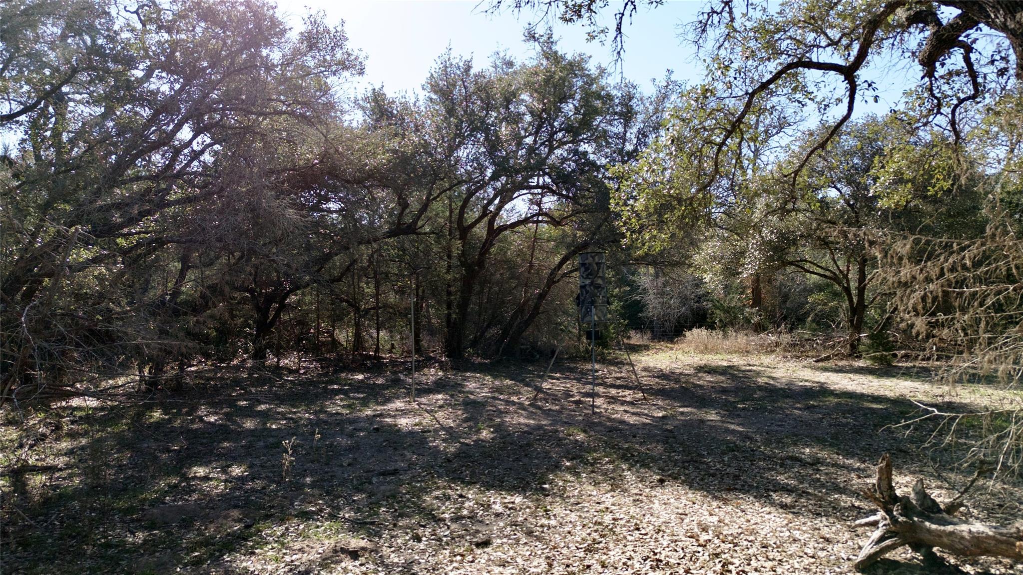440 Boulton Creek Rd, Muldoon, TX 78949