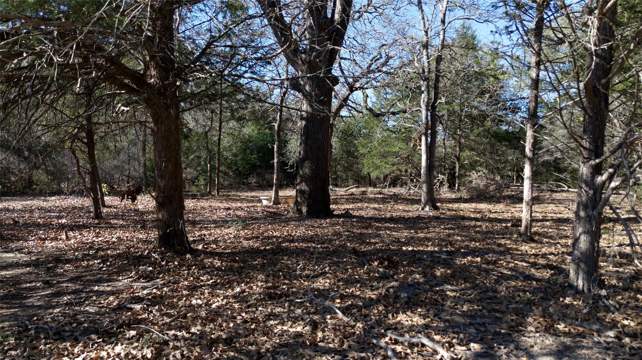 440 Boulton Creek Rd, Muldoon, TX 78949