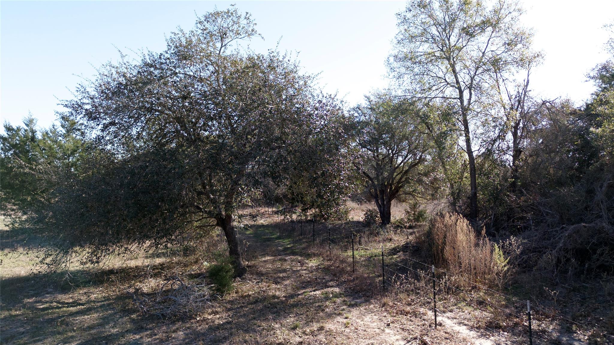 440 Boulton Creek Rd, Muldoon, TX 78949