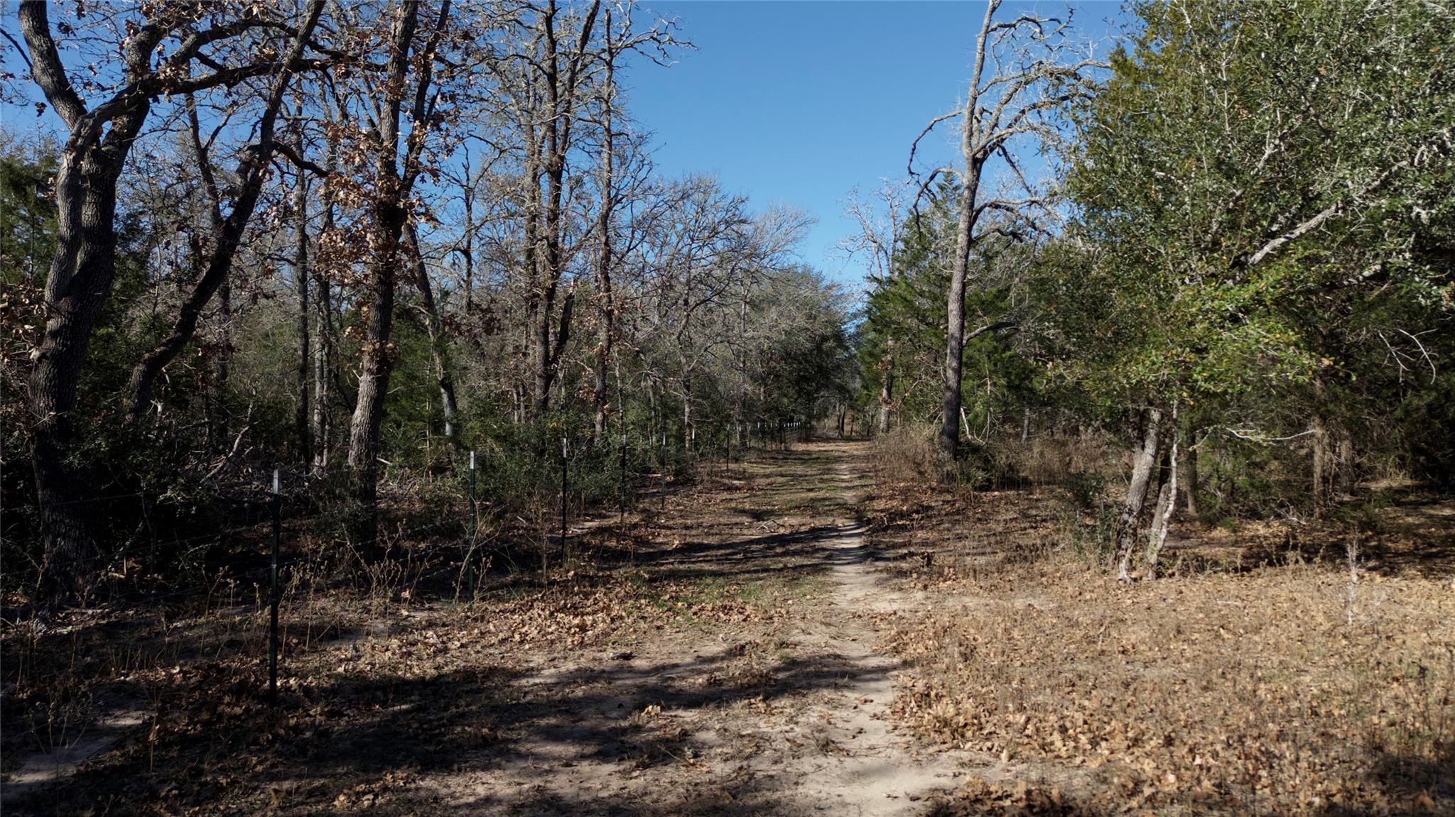 440 Boulton Creek Rd, Muldoon, TX 78949