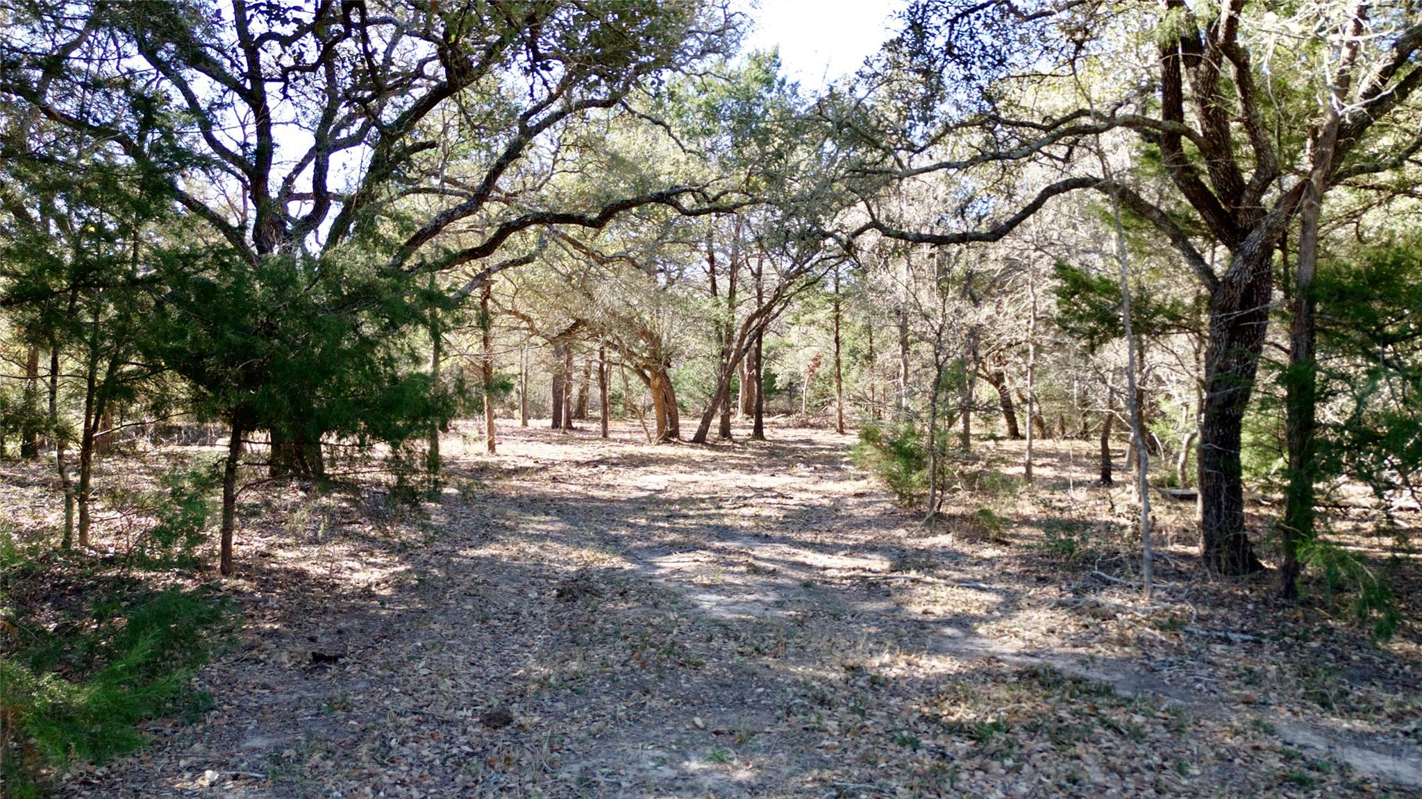 440 Boulton Creek Rd, Muldoon, TX 78949