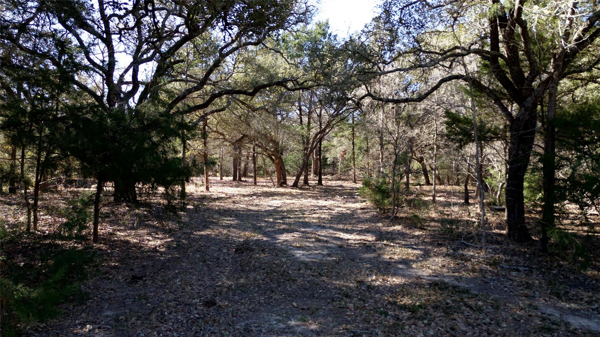 440 Boulton Creek Rd, Muldoon, TX 78949