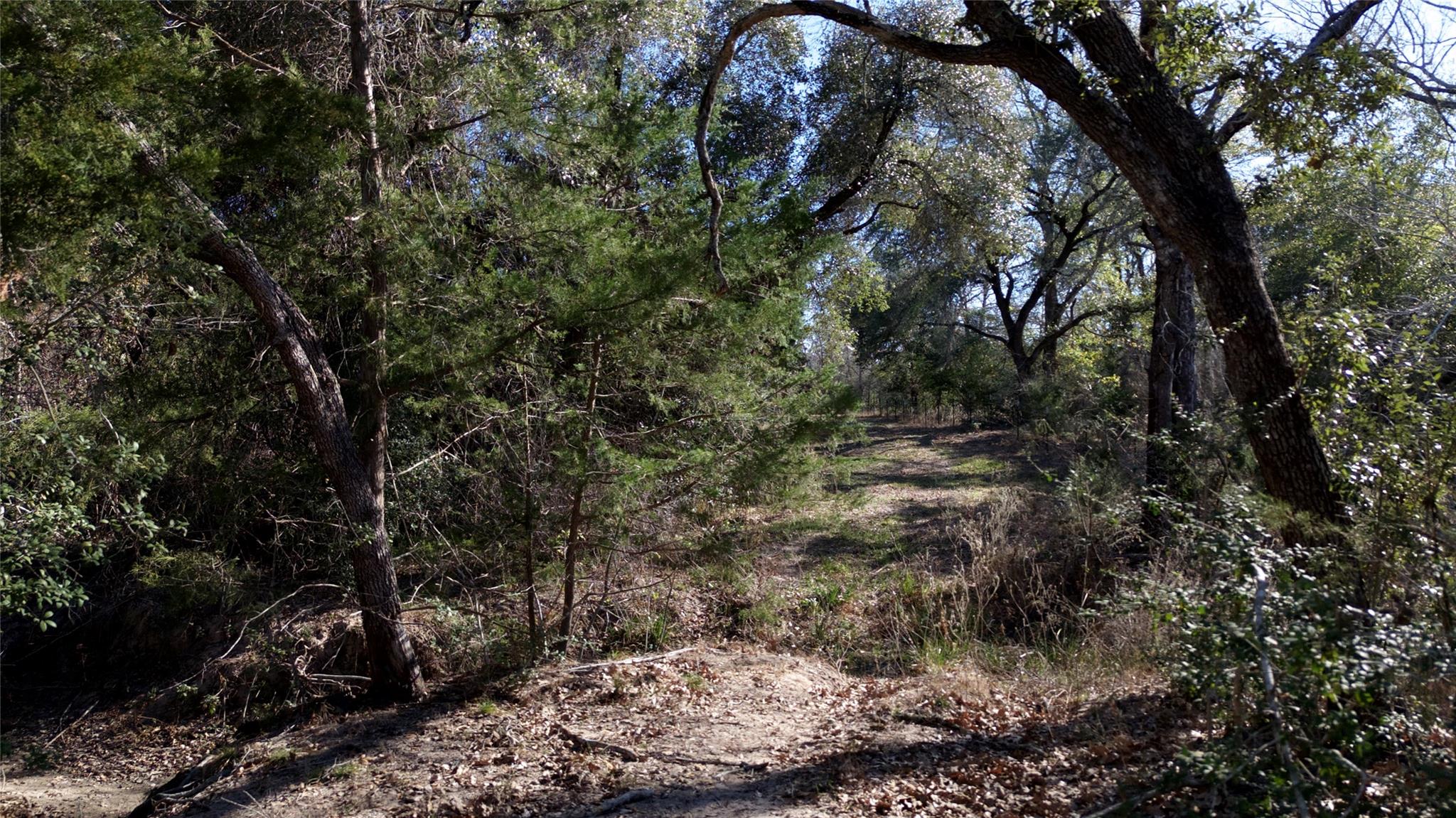 440 Boulton Creek Rd, Muldoon, TX 78949