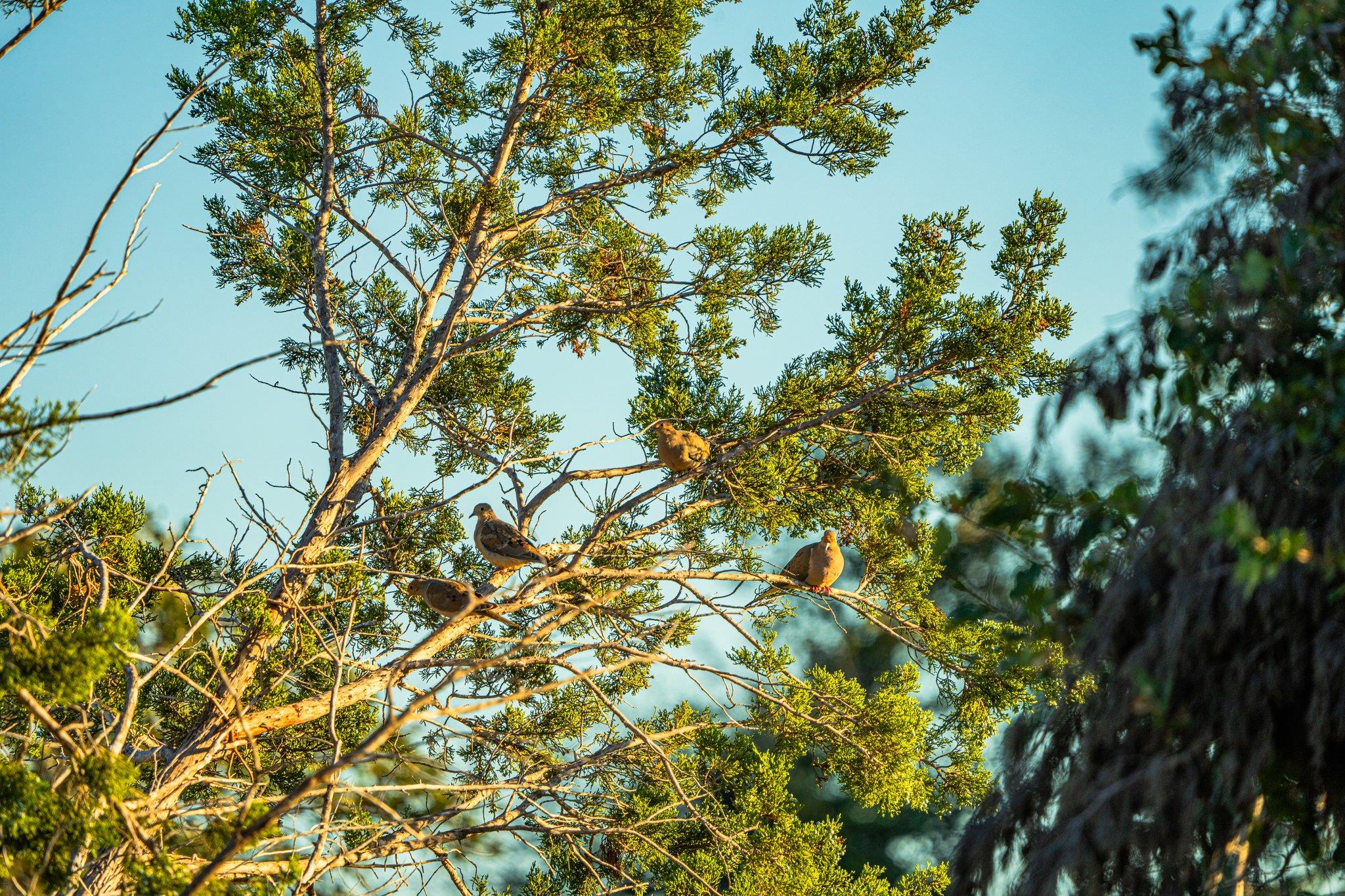 00 F-M 2843, Salado, TX 76571