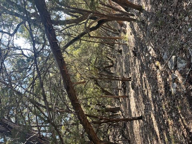 201 Assiniboia Dr, Canyon Lake, TX 78133