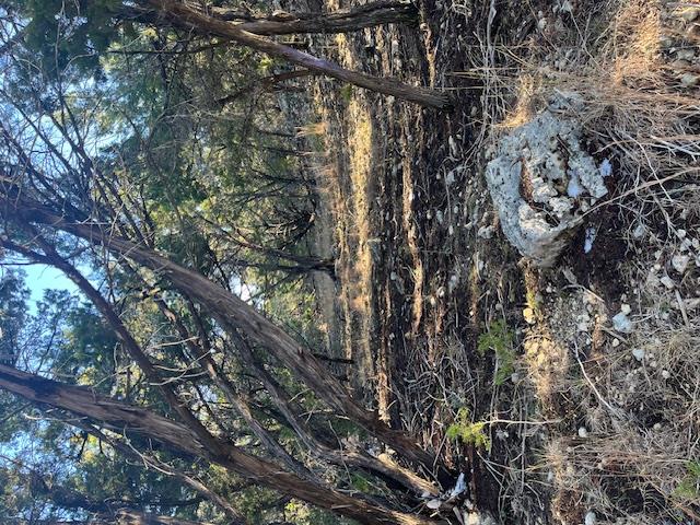 201 Assiniboia Dr, Canyon Lake, TX 78133