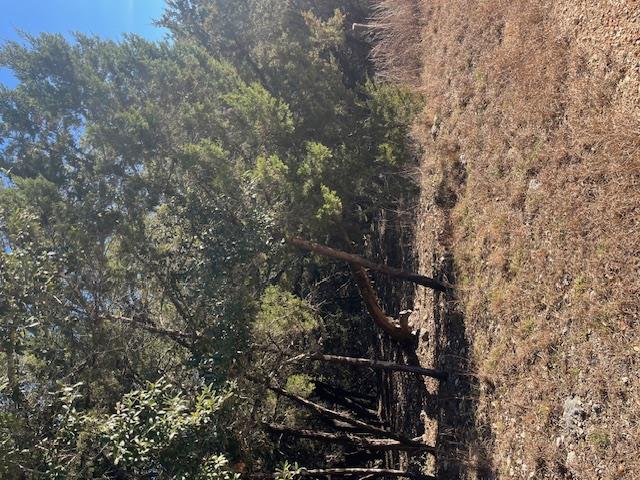 201 Assiniboia Dr, Canyon Lake, TX 78133