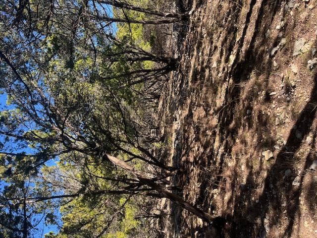 201 Assiniboia Dr, Canyon Lake, TX 78133