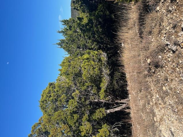 201 Assiniboia Dr, Canyon Lake, TX 78133