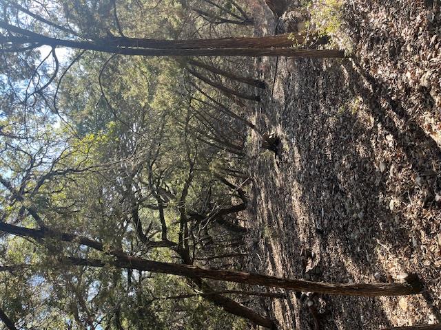 201 Assiniboia Dr, Canyon Lake, TX 78133