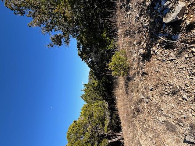 201 Assiniboia Dr, Canyon Lake, TX 78133