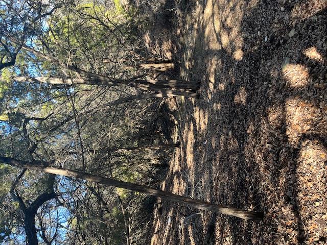 201 Assiniboia Dr, Canyon Lake, TX 78133