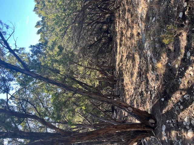 201 Assiniboia Dr, Canyon Lake, TX 78133