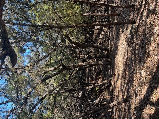 201 Assiniboia Dr, Canyon Lake, TX 78133