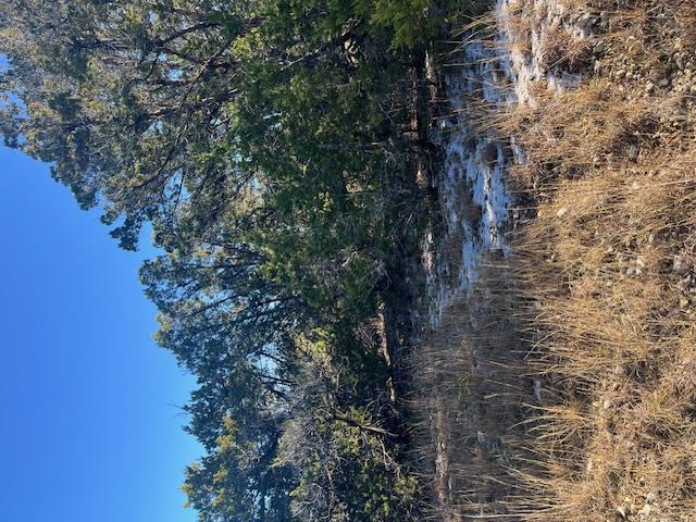 201 Assiniboia Dr, Canyon Lake, TX 78133