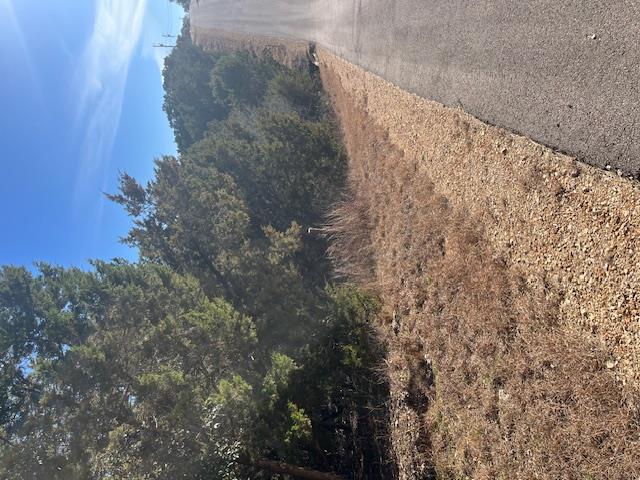 201 Assiniboia Dr, Canyon Lake, TX 78133