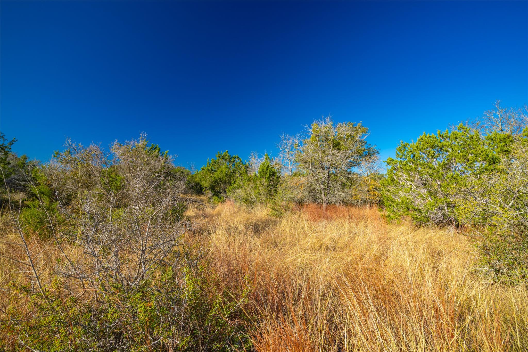 00 W McCarty Ln, San Marcos, TX 78666