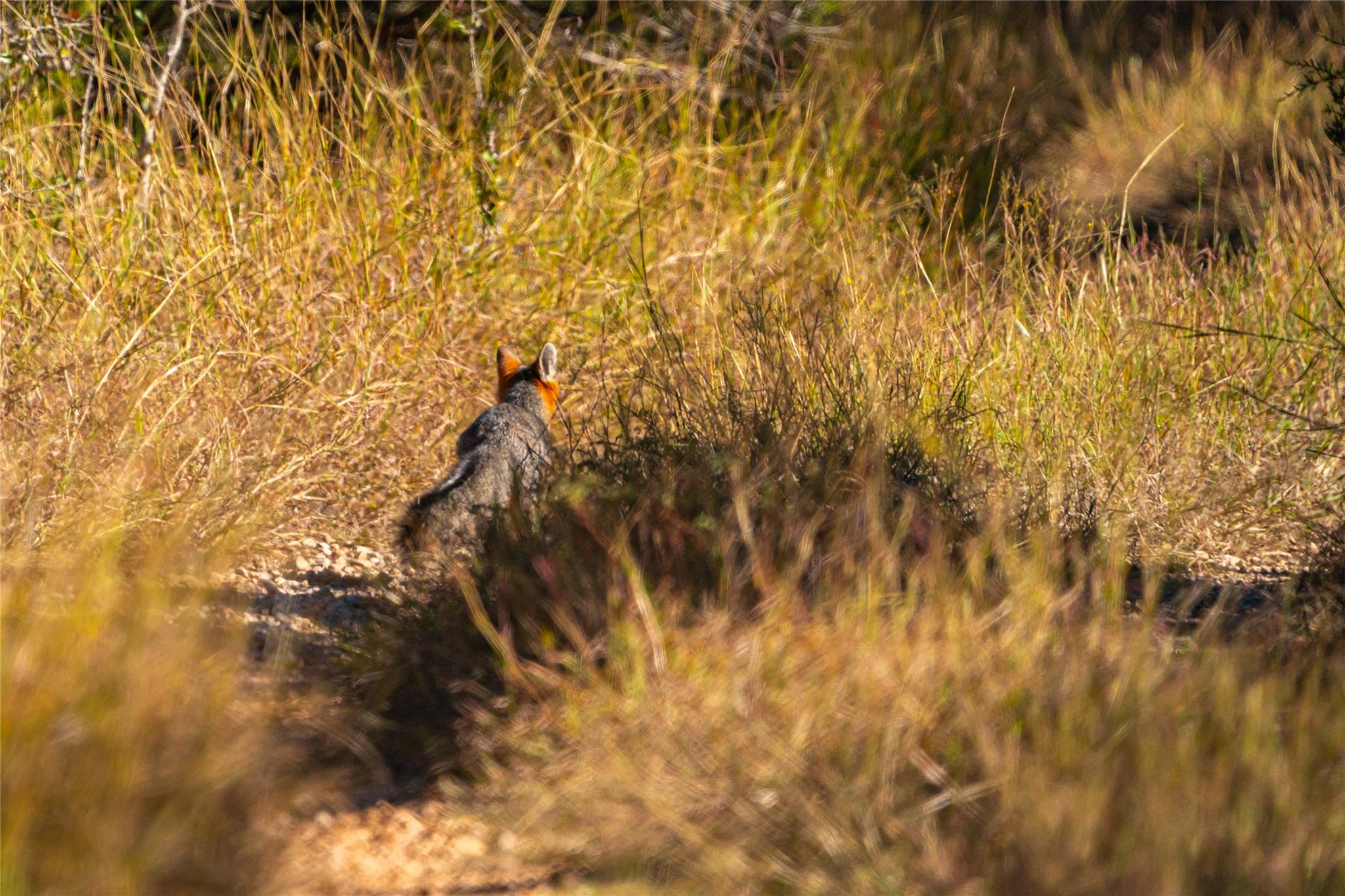 00 W McCarty Ln, San Marcos, TX 78666