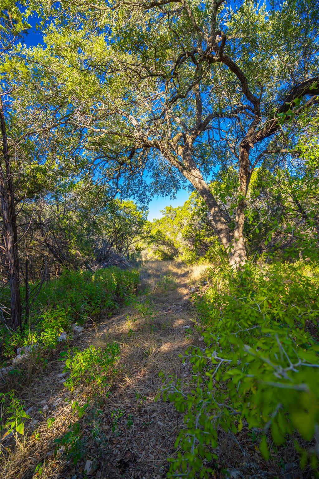 00 W McCarty Ln, San Marcos, TX 78666