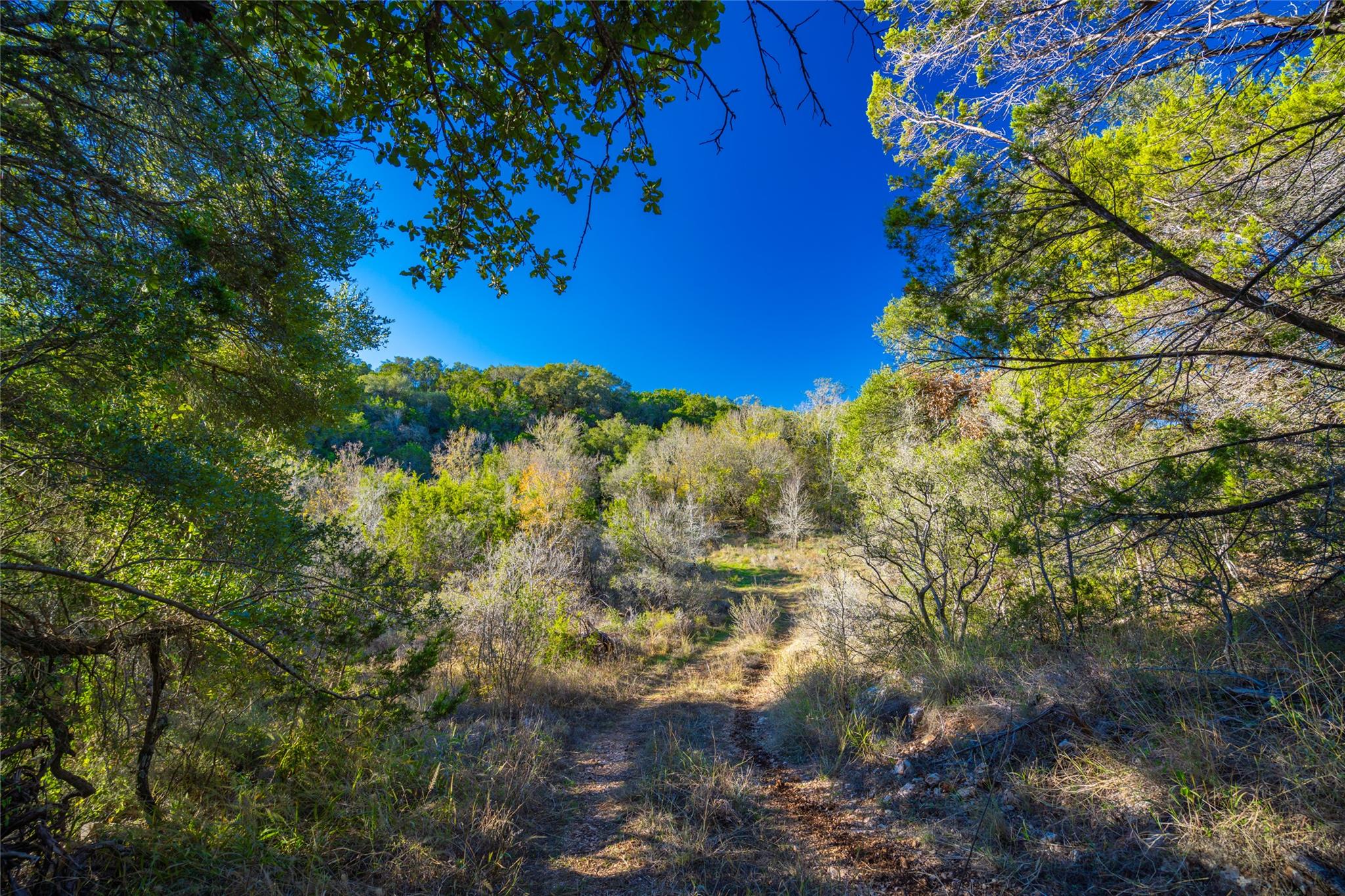 00 W McCarty Ln, San Marcos, TX 78666