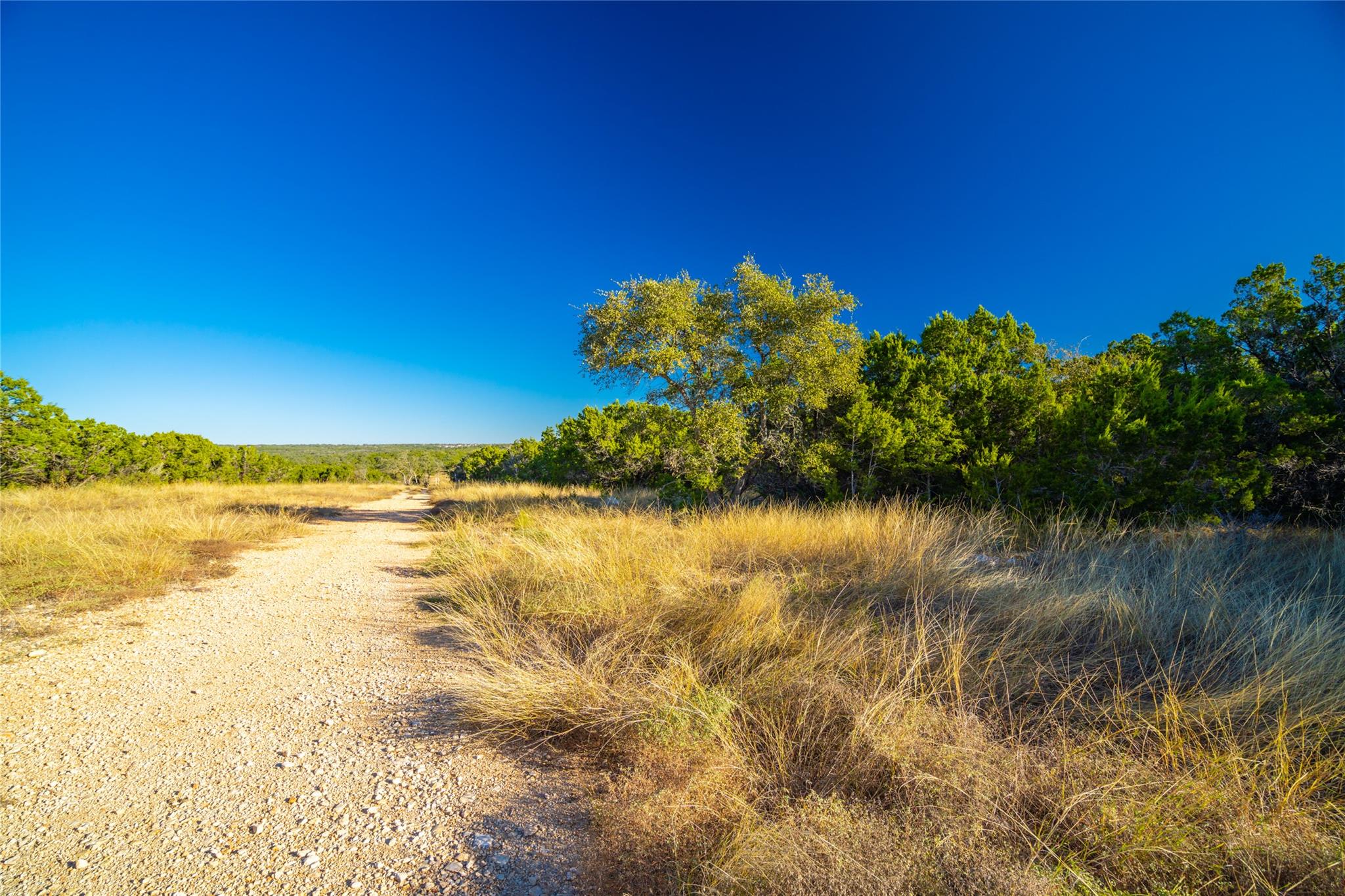 00 W McCarty Ln, San Marcos, TX 78666