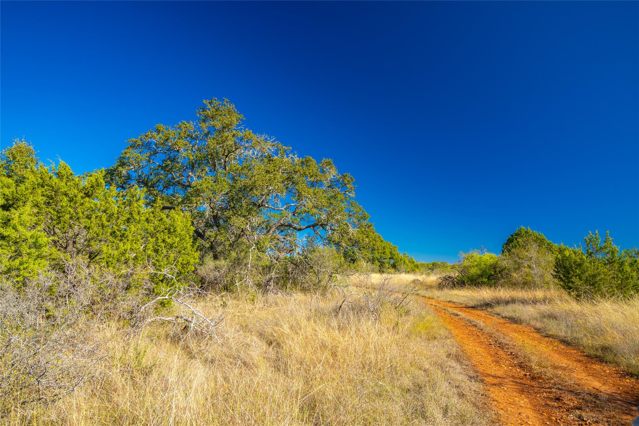 00 W McCarty Ln, San Marcos, TX 78666