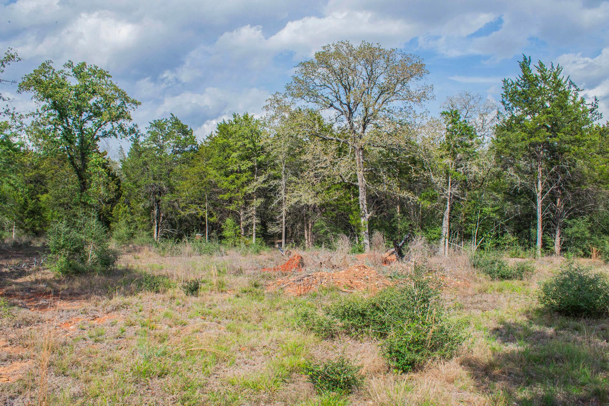 TBD Edgewood Trl, Paige, TX 78659