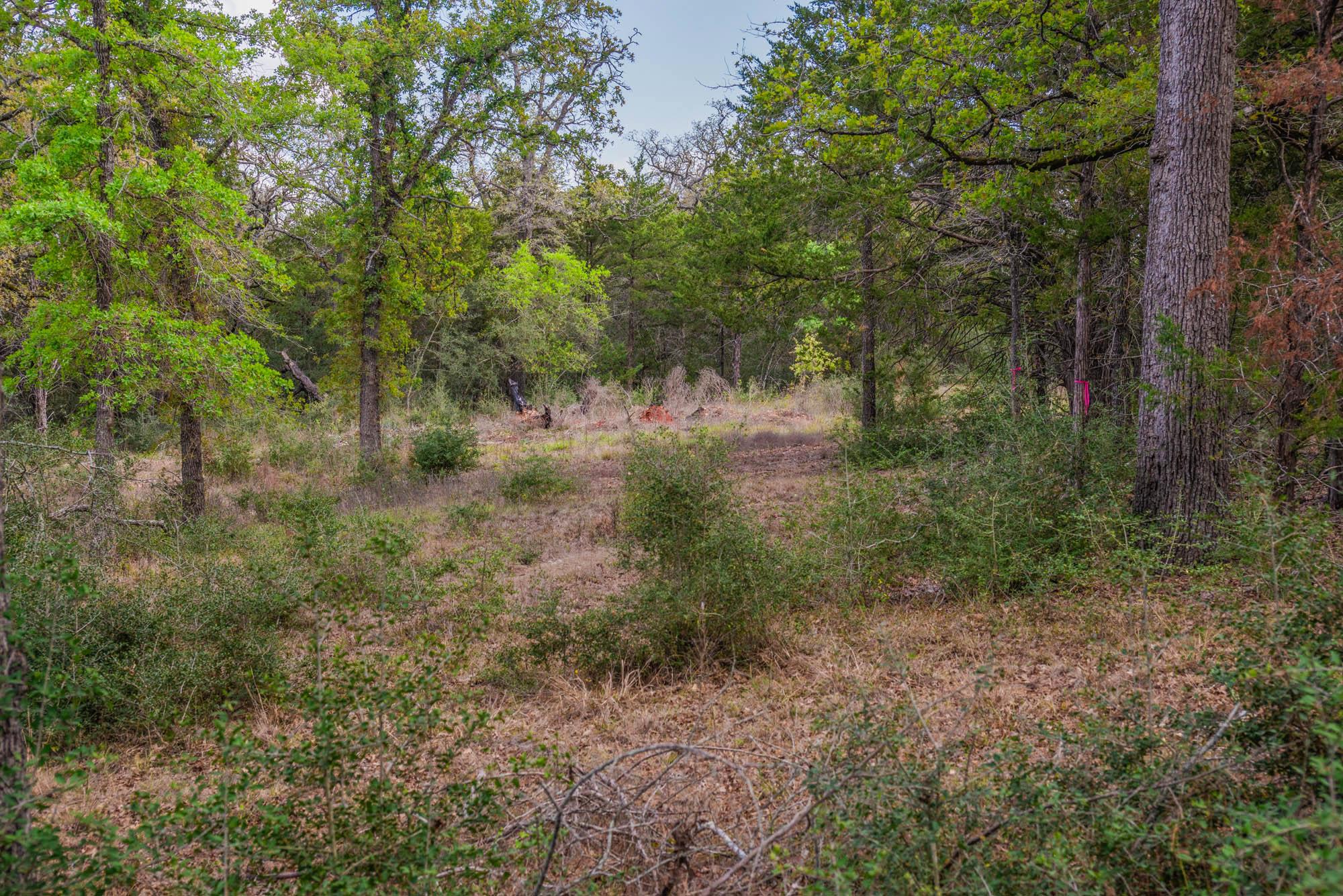 TBD Edgewood Trl, Paige, TX 78659