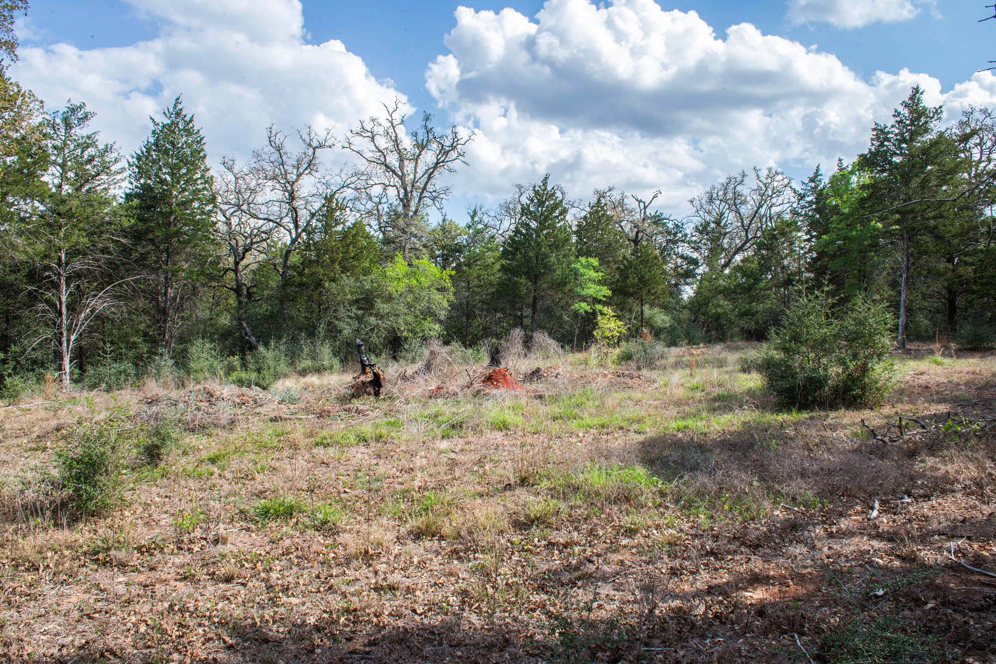 TBD Edgewood Trl, Paige, TX 78659