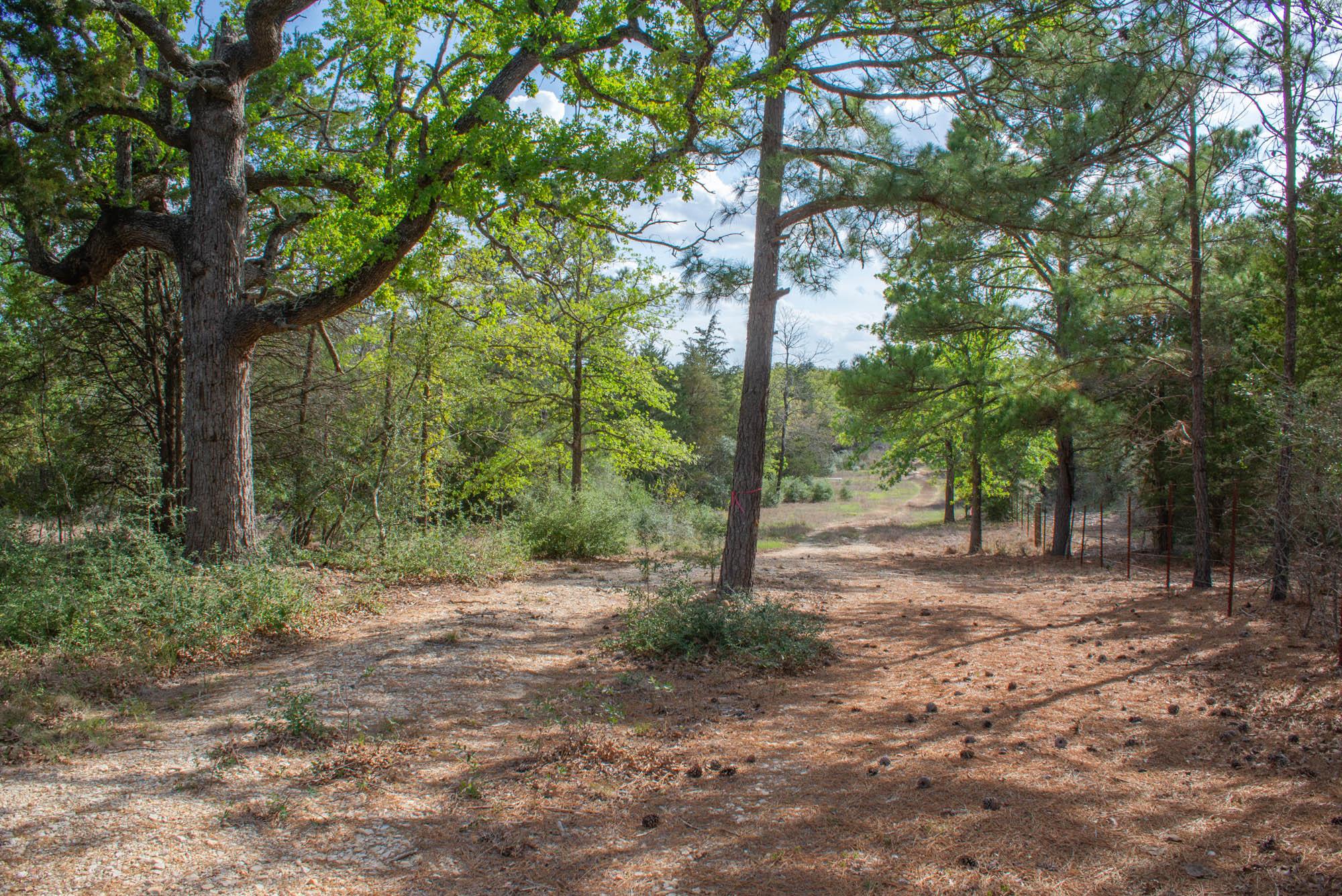 TBD Edgewood Trl, Paige, TX 78659