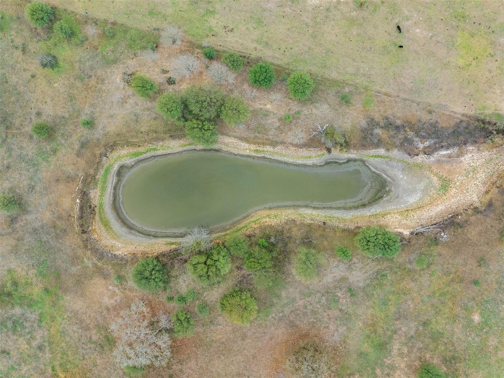 4025 County Road 284, Harwood, TX 78632