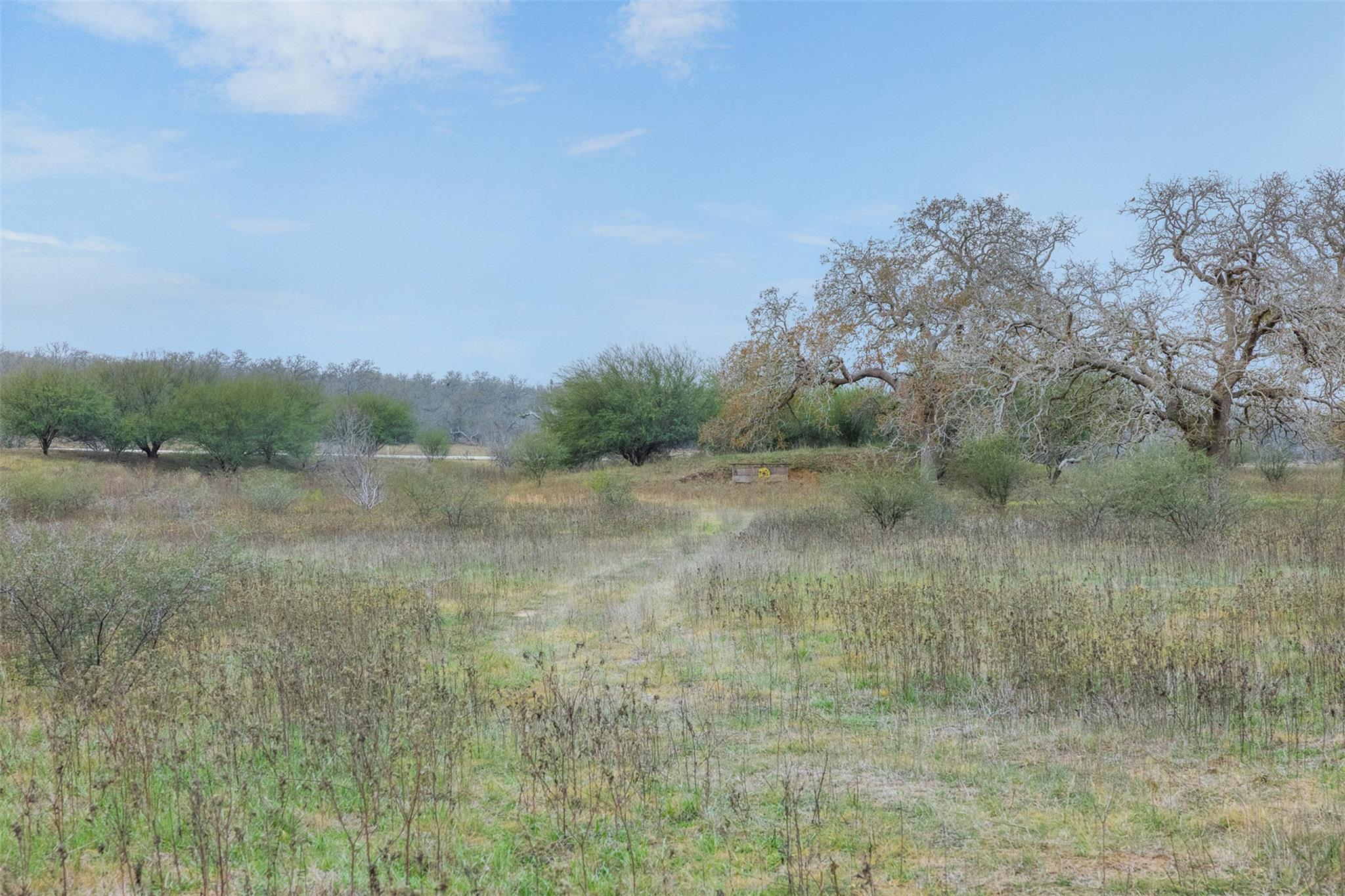 4025 County Road 284, Harwood, TX 78632