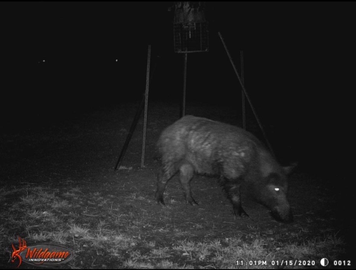 4025 County Road 284 # 46X, Harwood, TX 78632