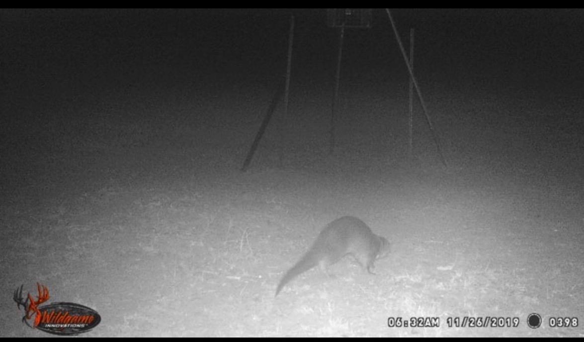 4025 County Road 284 # 46X, Harwood, TX 78632